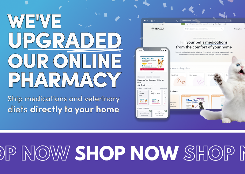 Carousel Slide 4: Shop Our Online Pharmacy >